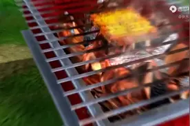 这就是旧版熊出没所谓的正义吗