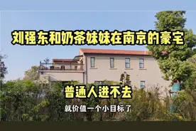 实拍刘强东和奶茶妹妹的南京豪宅，价值一个多亿，普通人只能看看视频封面