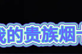 不仅是贵族烟卡，也是很好听的一首歌视频封面