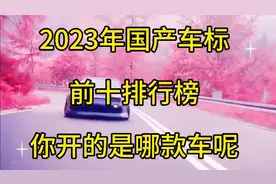 2023年国产车标，前十排行榜，你开的是哪款车呢视频封面
