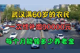 武汉满60岁的农民朋友，一次性补缴90000元，每月能领多少养老金