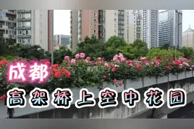 成都•二环高架桥上空中花园视频封面