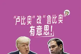 东北疯讽刺配音886