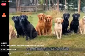 2024年的梗。只有一点是关于小孩子的。