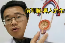前列腺是男性特有的性腺器官，号称男人的生命腺。