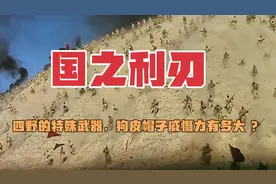 四野的特殊武器，狗皮帽子威慑力有多大 #四野 #大决战视频封面