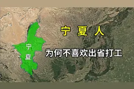 宁夏人:为什么不喜欢出省打工？视频封面