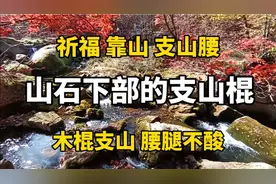 祈福健康 寻找靠山 支山腰 山石下部的支山棍 木棍支山 腰腿不酸