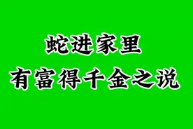 蛇进家门有富贵吉祥之意，你是会放生吗