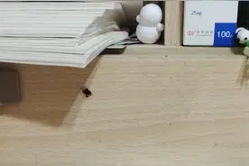 假水最粘东西了，建议不要玩