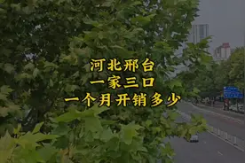 在河北邢台这个四线城市，一家三口一个月开销竟然这么多？视频封面