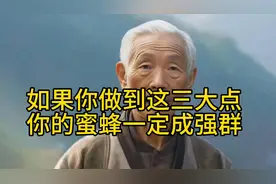 蜜蜂养殖三大要点，助你养出强群！