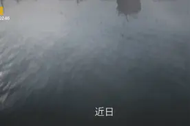 这是最后的一次谈判，原作者，和平精英官方