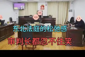 东北庭审现场，你挖我苞米苗子干啥，审判长实在憋不住乐了视频封面