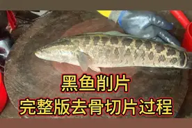 黑鱼削片 完整版去骨切片过程。