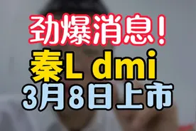 秦Ldmi预计3月8日正式上市，同时发布DM5.0混动技术，你期待吗？