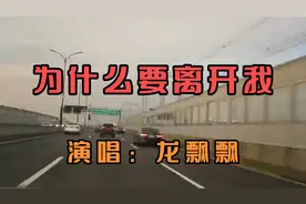 龙飘飘一首《为什么要离开我》凄美伤感的歌声，唱出了失恋的痛苦