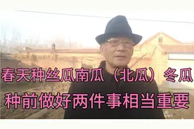 开春丝瓜南瓜（北瓜）冬瓜种植前必须要做的两件事至关重要。视频封面