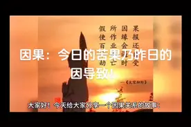 因果：今日苦果乃昨日因导致！视频封面
