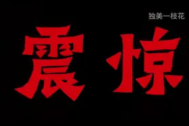 实锤!董小姐博士论文造假全网最专业拆解，不撤销学位没天理!视频封面