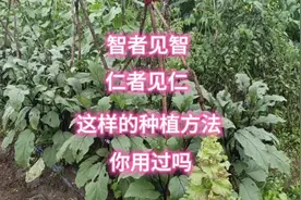 种植方法千千万，哪个是真？哪个是假？这些方法和窍门你见过吗？视频封面