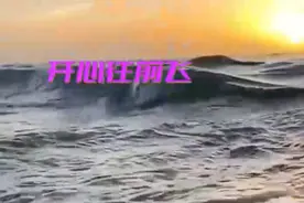 《开心往前飞》这首歌曲充满活力和正能量，让人感到快乐和振奋😄