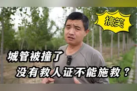 搞笑：城管被撞没救人证不能救？小伙不信邪救人第一！结果如何？视频封面
