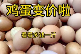 陕西鸡蛋又变价格了，大家看看今天超市卖多钱一斤？大家说便宜吗视频封面