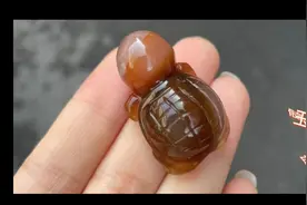 今天给大家分享下玉髓的形成和功效，让大家了解更多的知识文化