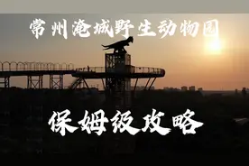苏锡常唯一野生动物园“常州淹城野生动物园”保姆级攻略
