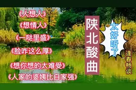 一起欣赏陕北酸曲，太好听了！百听不厌！！