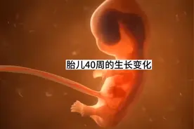你知道胎儿40周的生长变化吗？