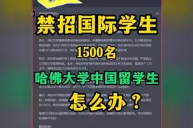 禁招国际学生，1500名哈佛大学中国留学生怎么办？视频封面