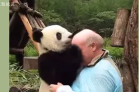 把俄罗斯老外的头当球玩，扒光小日本衣服裸奔，大熊猫是懂爱国视频封面