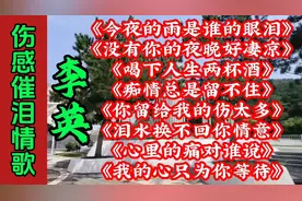 李英8首好听伤感情歌《喝下人生两杯酒》《你留给我的伤太多》