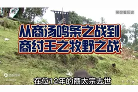 商朝554年历史，从商汤鸣条之战到商纣王牧野之战