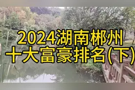 2024郴州十大富豪排名(下)视频封面