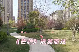 歌曲《芒种》春雨惊春清谷天，夏满芒夏暑相连。秋处露秋寒霜降视频封面