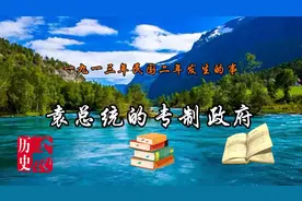 袁总统的专制政府   一九一三年民国二年发生的事
