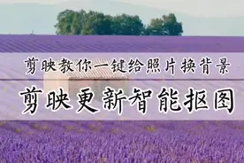 如何给拍好的照片换背景，剪映教你一键换背景，新手零基础可学