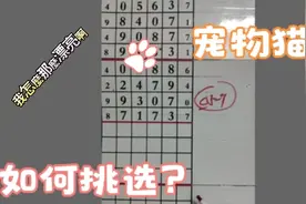 排列五9月30日隔板局规律走势讲解视频封面