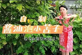 开胃清凉又好保存的酱油泡小苦子，一看就会的制作方法，造起来吧