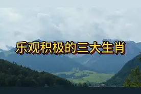 乐观积极的三大生肖视频封面
