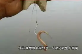 提醒大家：使用活饵钓鱼是违法的，请大家切勿以身试法。