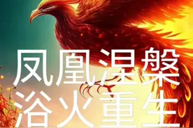 凤凰一涅槃重生视频封面