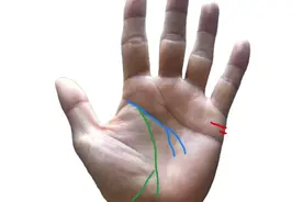 生命线末尾分叉，晚年身体多注意，会变差，平时多注意锻炼身体