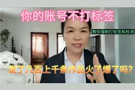 你的账号不打标签，发上百上千条视频火爆了吗？过17000新手教程视频封面