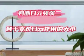 判断日元强弱要看各干支对日元作用的大小视频封面