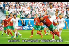 欧洲五大联赛:西甲，英超，法甲，意甲，德甲详细介绍视频封面