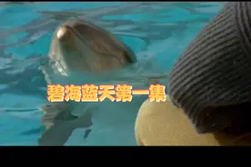 碧海蓝天第一集